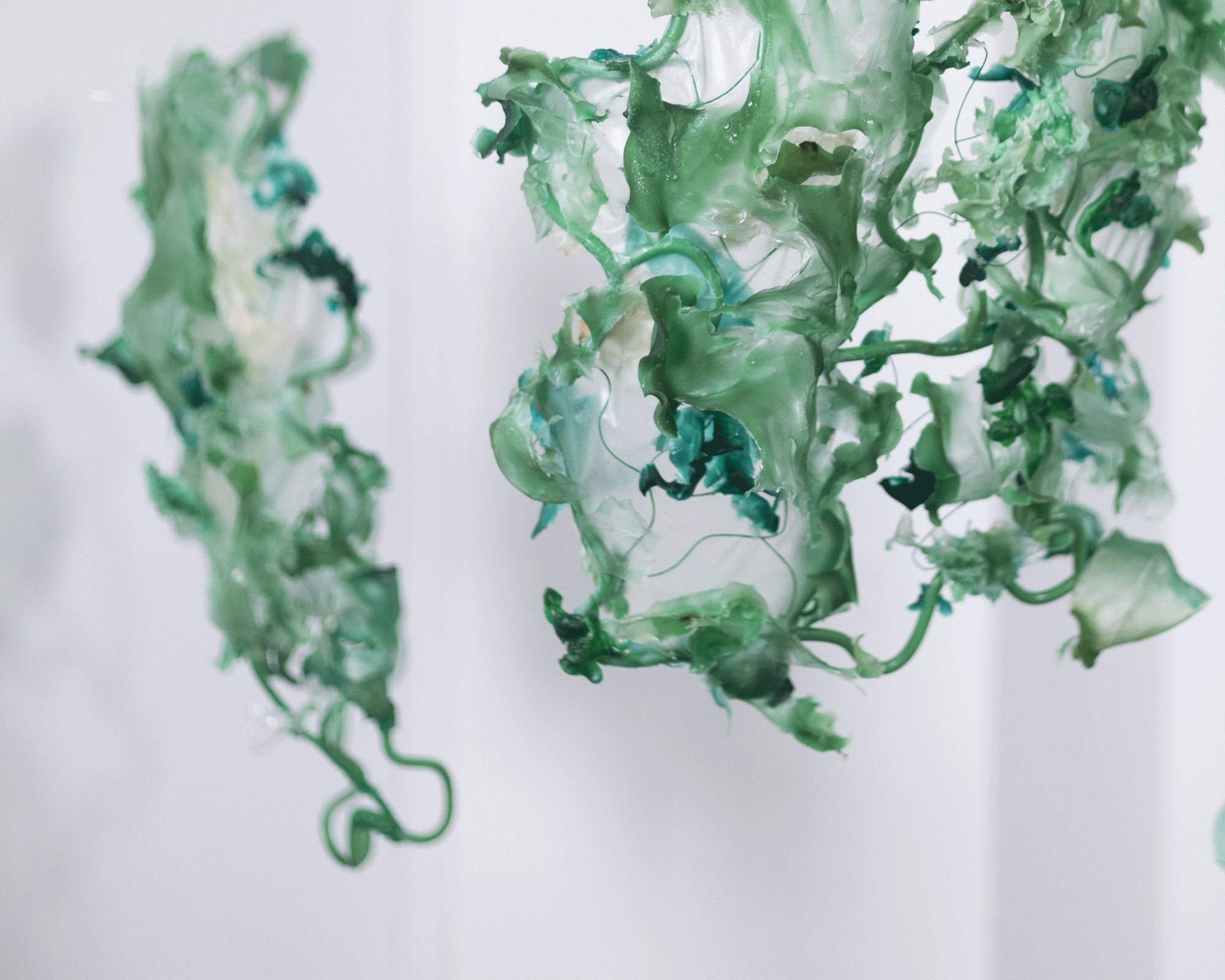 Tendrils of green fabric resembling seaweed
