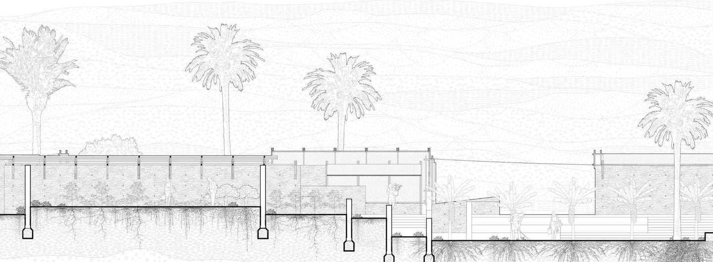 a black and white sketch of a wall in Palestine with palm trees in the background