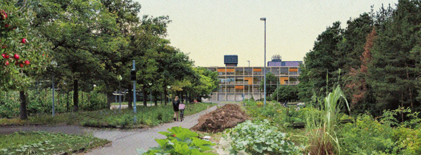 A garden with mature trees and a school-like building in the background